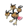 dodrio